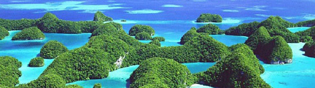 �������́A���R�ɗD�����������������܂��B